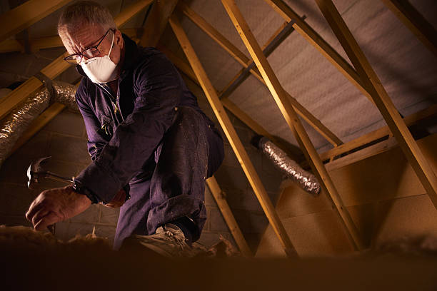 Best Insulation Installation Services in Red Lodge, MT
